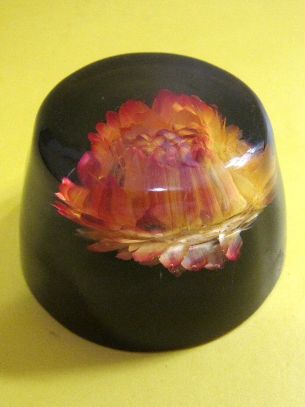 Vintage Paperweight Lucite or Acrylic Dried Yellow flower